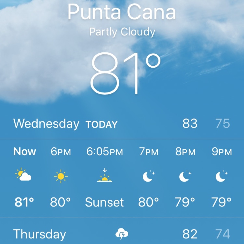 Meet your Posher, Owen